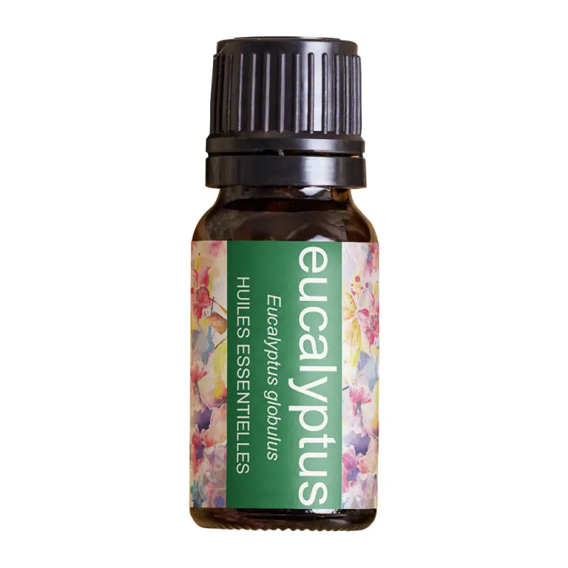 Huile essentielle, EUCALYPTUS